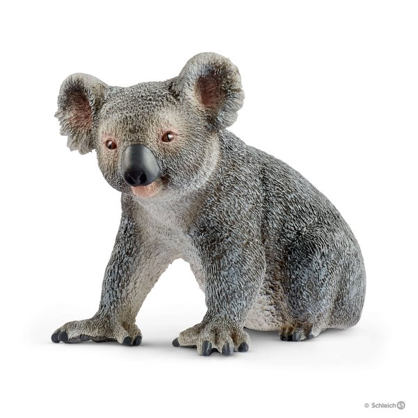 29 Koala Gifts For Koala Lovers - Your Ideal Gifts