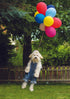 DOG CARRIED BY BALLOONS CARD - A. Dodson's