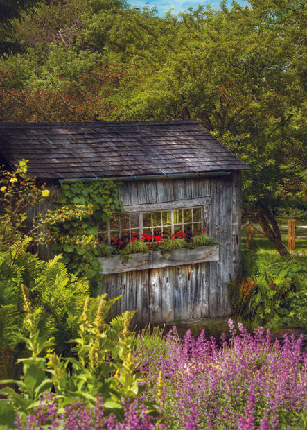 OLD SHED IN WOODS CARD - A. Dodson's