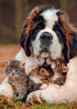 SAINT BERNARD AND KITTENS CARD - A. Dodson's