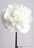 WHITE FLOWER CARD - A. Dodson's