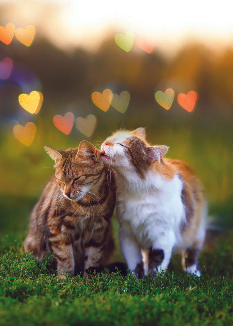 2 CATS IN LOVE CARD - A. Dodson's