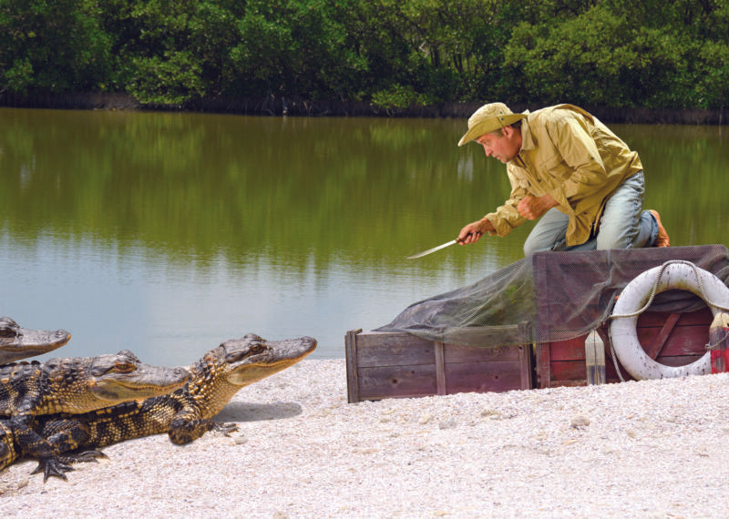 MAN WARDING OFF ALLIGATORS CARD - A. Dodson's