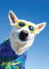 DOG WITH SUNGLASSES CARD - A. Dodson's