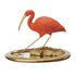 Scarlet Ibis on Mirrored Tray