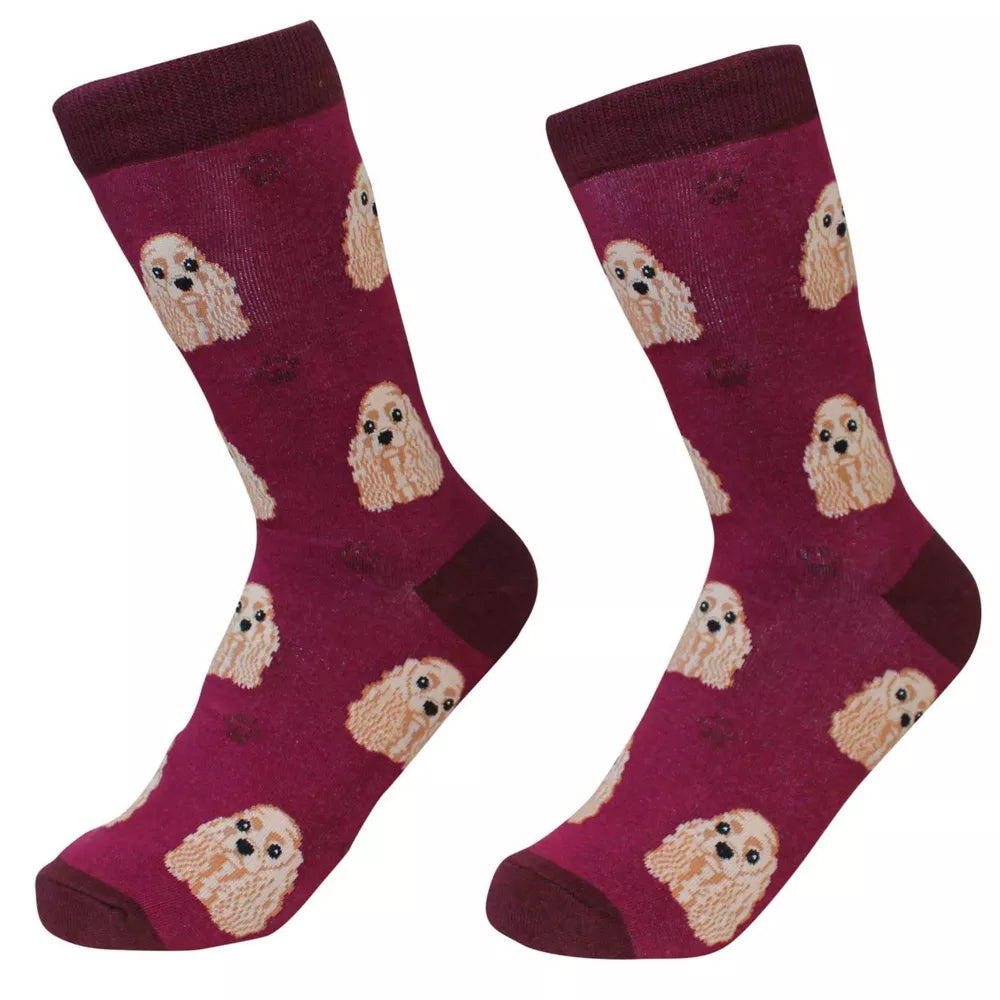 PET SOCKS - A. Dodson's