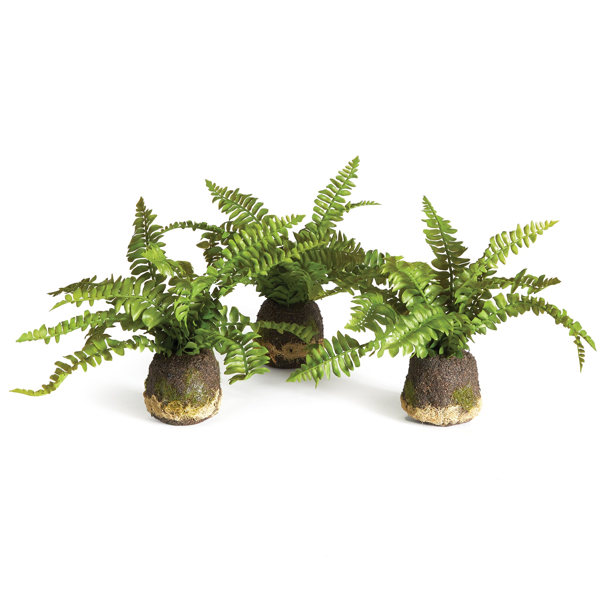 BOSTON FERN DROP-INS, SET OF 3 BY NAPA HOME & GARDEN