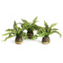 BOSTON FERN DROP-INS, SET OF 3 BY NAPA HOME & GARDEN