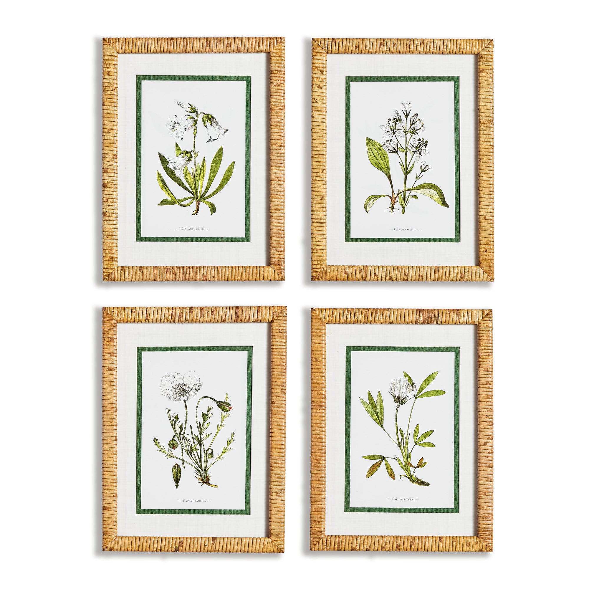 WHITE FLORAL STUDY, SET OF 4 BY NAPA HOME & GARDEN