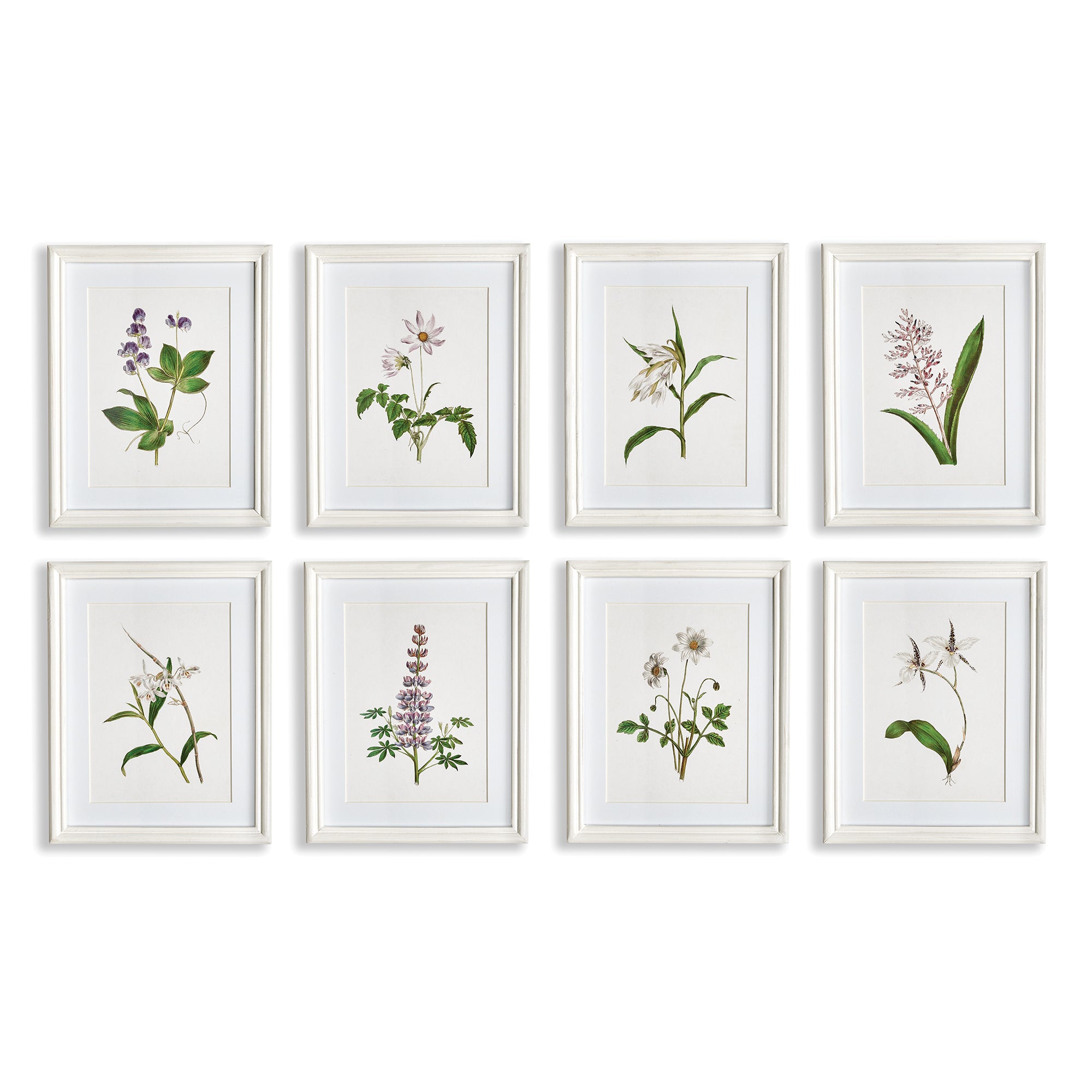 FLOWERS IN BLOOM PETITE PRINTS, SET OF 8 BY NAPA HOME & GARDEN