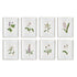 FLOWERS IN BLOOM PETITE PRINTS, SET OF 8 BY NAPA HOME & GARDEN