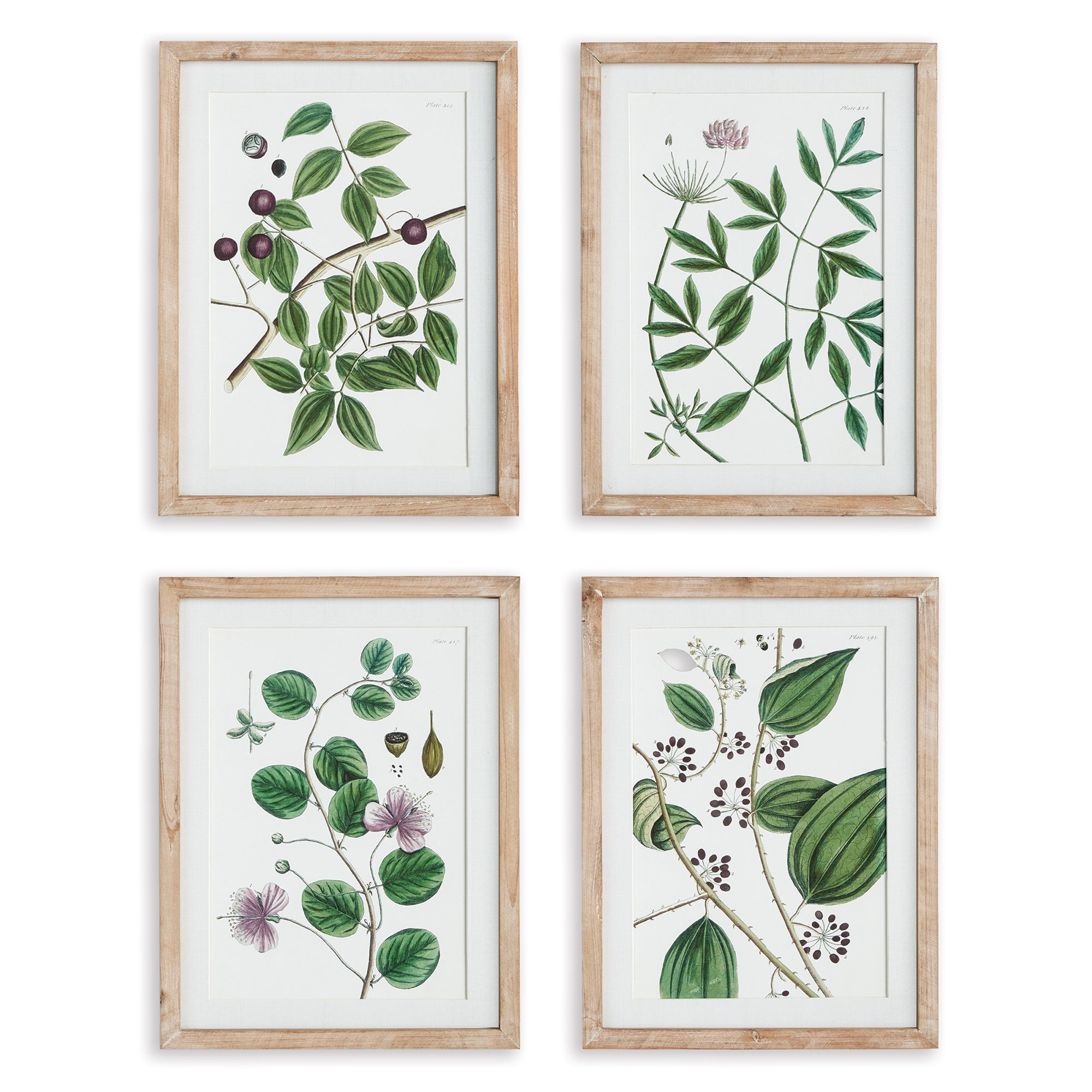 VERDANT BRANCH PRINTS, SET OF 4 BY NAPA HOME & GARDEN