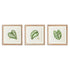 LEAF CUTTINGS PETITE PRINTS, SET OF 3 BY NAPA HOME & GARDEN