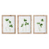 CLOVER CUTTINGS PETITE PRINTS, SET OF 3 BY NAPA HOME & GARDEN