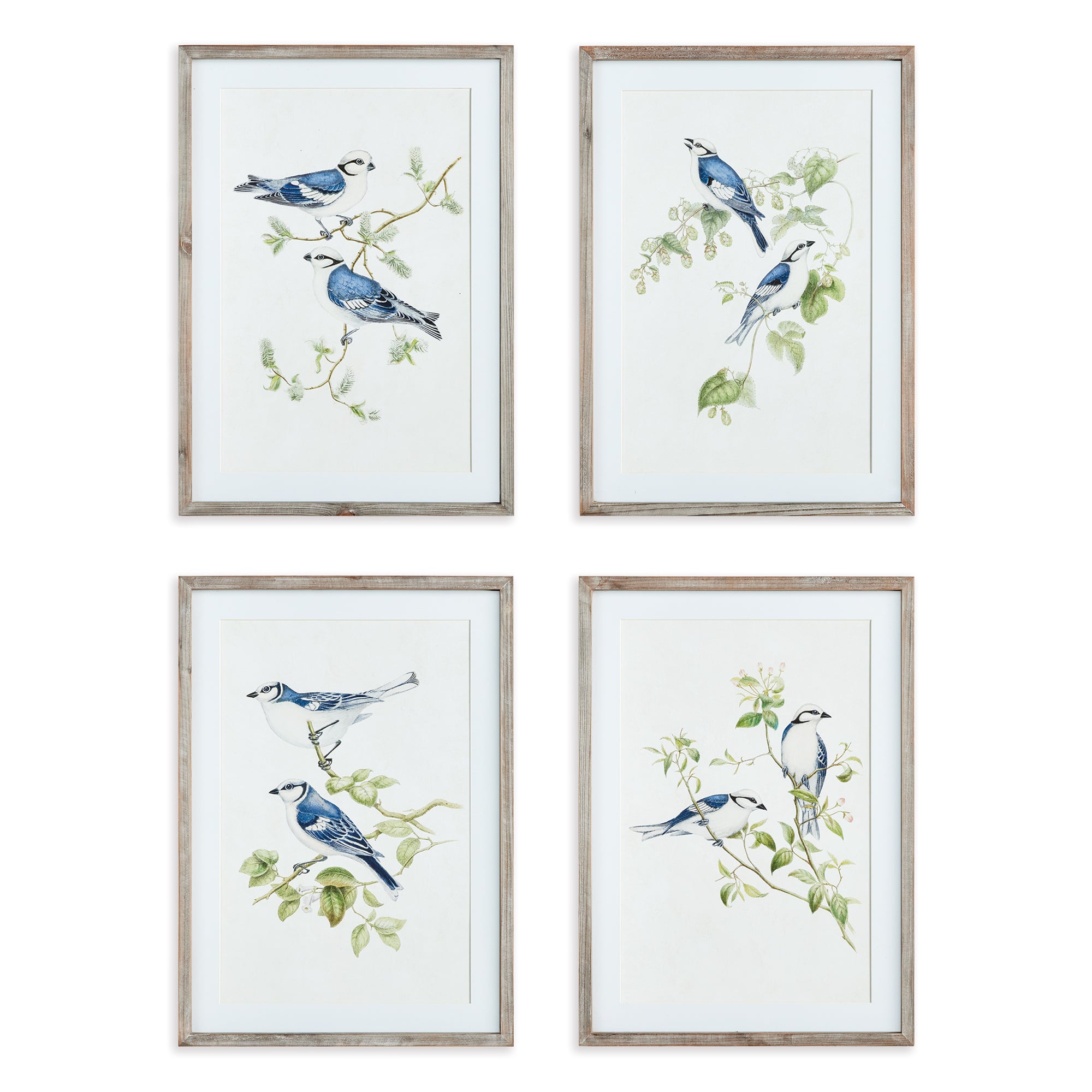 BLUE BIRDS PRINTS, SET OF 4 BY NAPA HOME & GARDEN