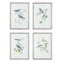 BLUE BIRDS PRINTS, SET OF 4 BY NAPA HOME & GARDEN