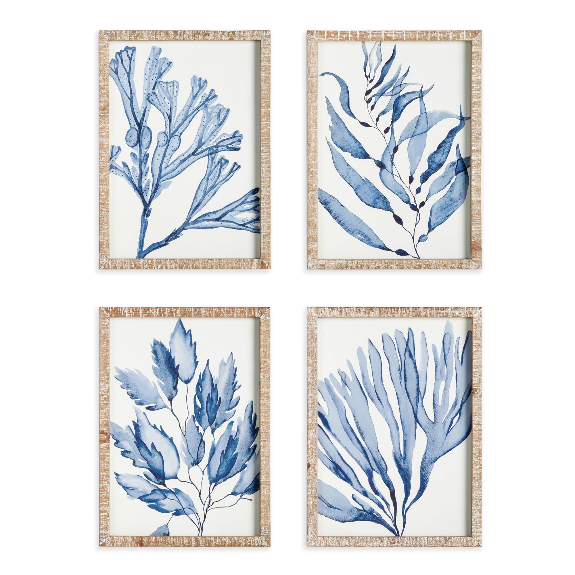 MARINE PRINTS, SET OF 4 BY NAPA HOME & GARDEN