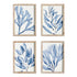 MARINE PRINTS, SET OF 4 BY NAPA HOME & GARDEN