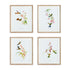 PLAYFUL HUMMINGBIRD PRINTS, SET OF 4 BY NAPA HOME & GARDEN