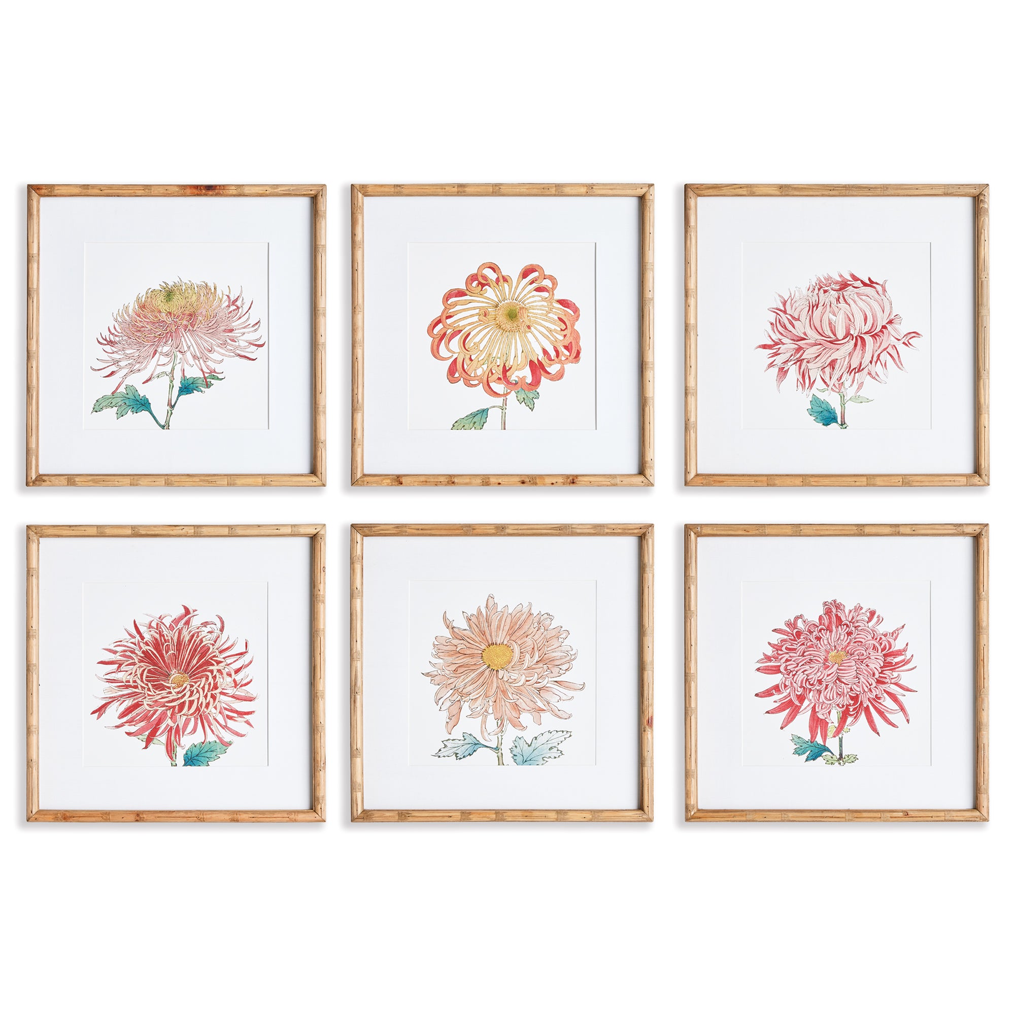 COLORFUL CHRYSANTHEMUM PRINTS, SET OF 6 BY NAPA HOME & GARDEN