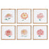 COLORFUL CHRYSANTHEMUM PRINTS, SET OF 6 BY NAPA HOME & GARDEN