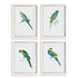 COLORFUL PARROT PRINTS, SET OF 4 BY NAPA HOME & GARDEN