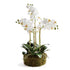 PHALAENOPSIS ORCHID BOWL DROP-IN 20" BY NAPA HOME & GARDEN