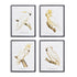 PARROT STUDY IN WHITE, SET OF 4 BY NAPA HOME & GARDEN