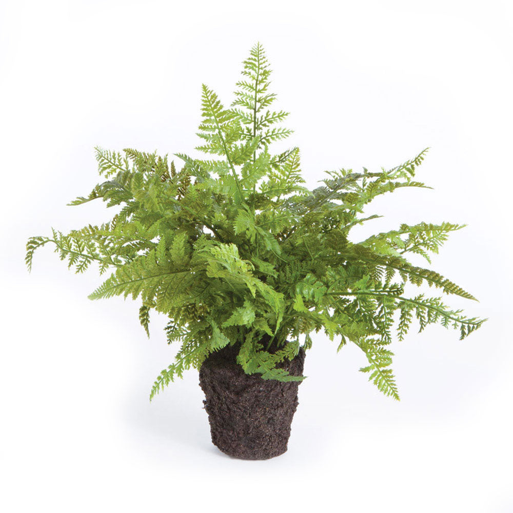 SOFT FERN DROP-IN 10.5 BY NAPA HOME & GARDEN