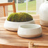 LEONA DECORATIVE BOWLS SET OF 2 BY NAPA HOME & GARDEN