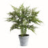 PLUMOSA FERN DROP-IN 21" BY NAPA HOME & GARDEN