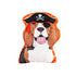 Halloween Dog Mini Pillows 6 Assorted Sold Individually - A. Dodson's