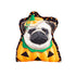 Halloween Dog Mini Pillows 6 Assorted Sold Individually - A. Dodson's