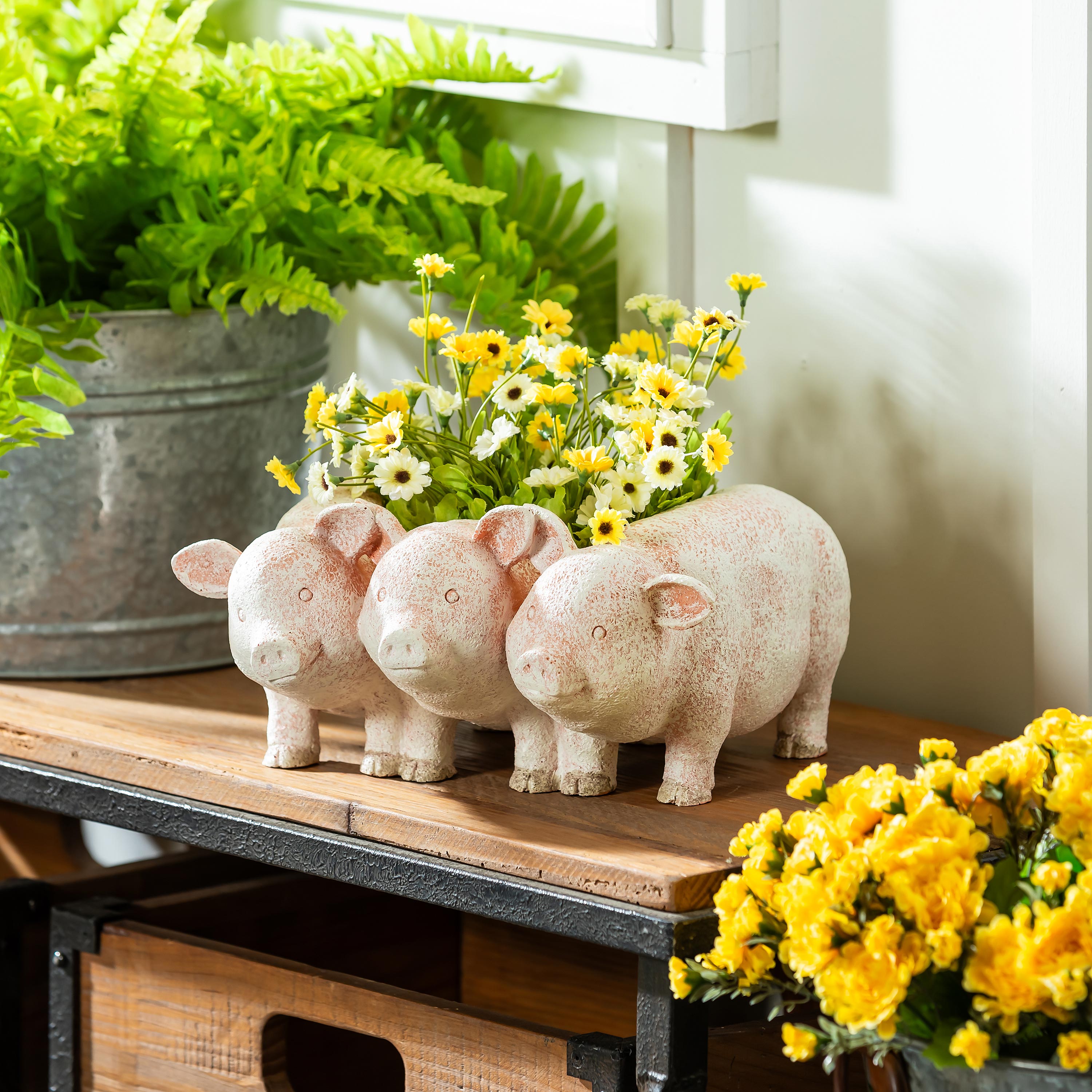 PIG PLANTER