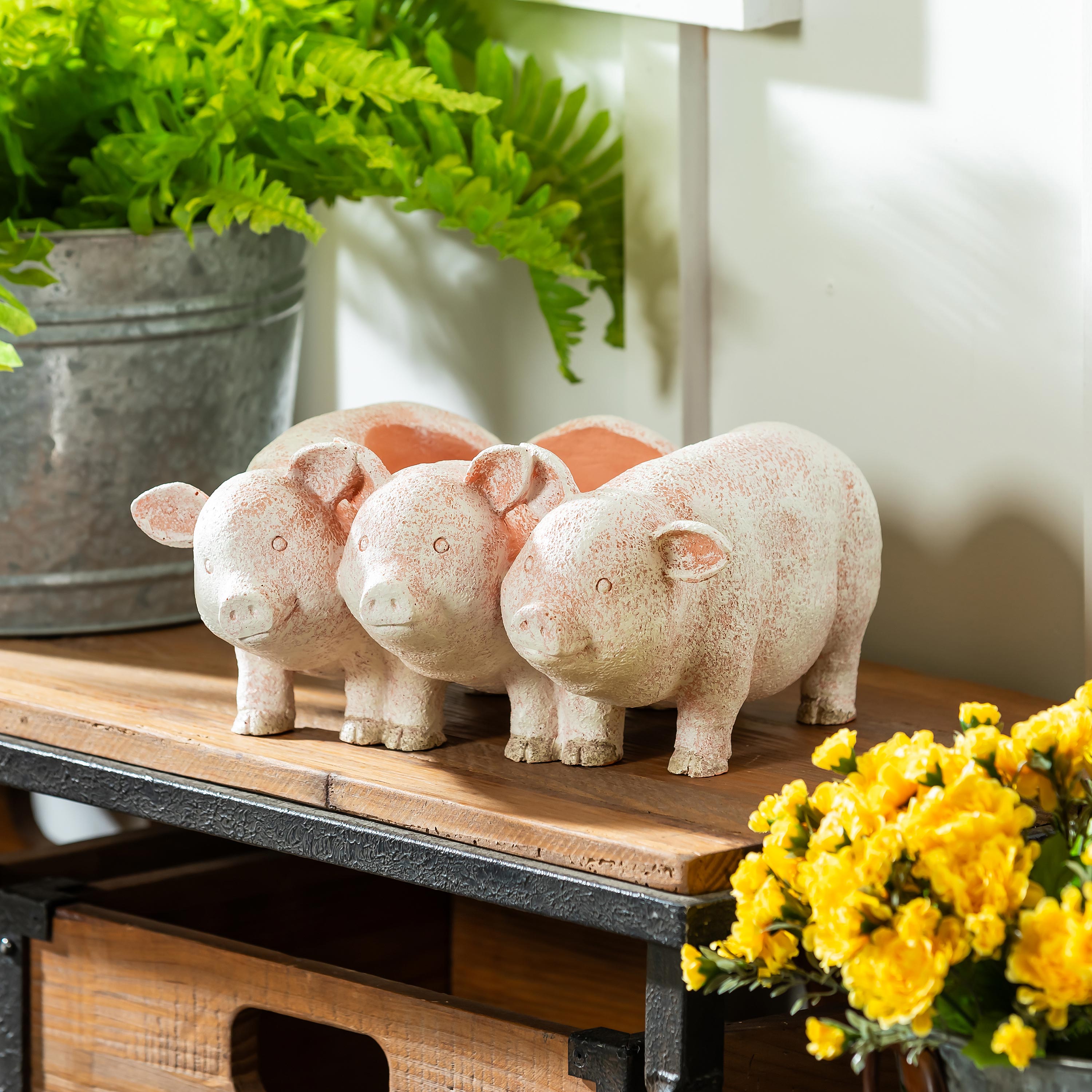 PIG PLANTER