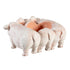 PIG PLANTER