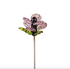 Glass Insect And Flower Plant Pick - A. Dodson's