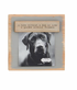 Pet Magnet Block Frames BY MUD PIE