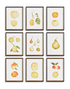 ASSORTED FRUITS STUDY, SET OF 9 BY NAPA HOME & GARDEN - A. Dodson's