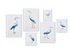 BLUE HERON GALLERY PRINTS, SET OF 6 BY NAPA HOME & GARDEN - A. Dodson's