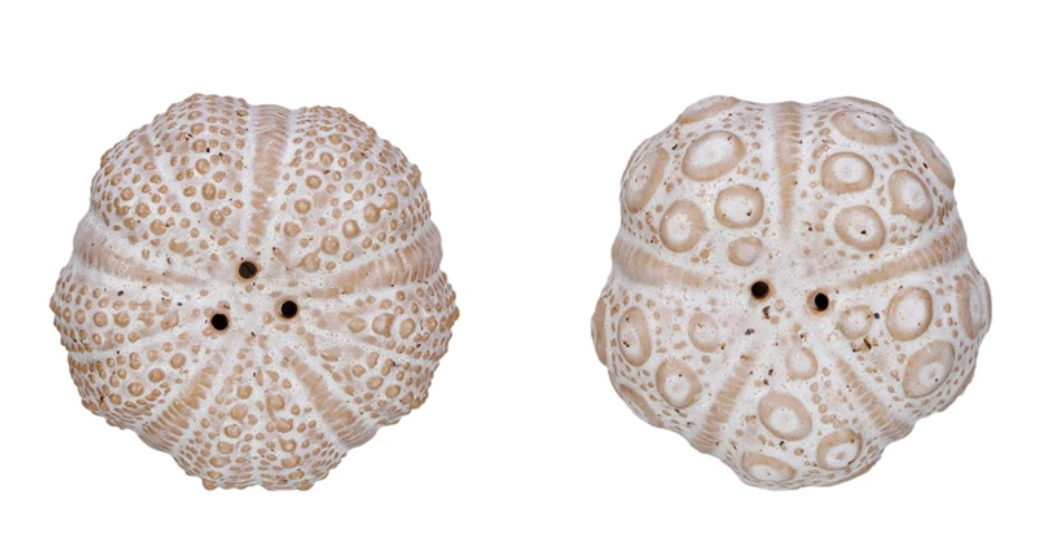 Stoneware Sea Urchin Shaped Salt & Pepper Shakers, Set of 2 (Each One Will Vary) - A. Dodson's