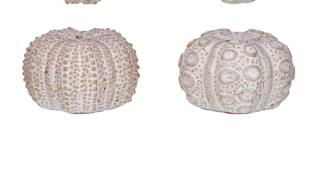 Stoneware Sea Urchin Shaped Salt & Pepper Shakers, Set of 2 (Each One Will Vary) - A. Dodson's