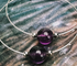 Hyevibe Gemstone 10mm Earring - Silver - 8 Asst by &Livy - A. Dodson's