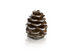 NORA FLEMING BROWN WHITE PRETTY PINECONE MINI A110 - A. Dodson's