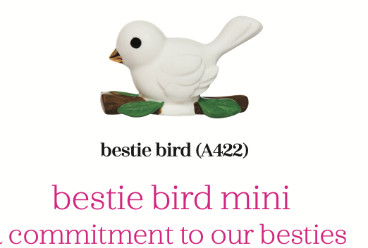 IN STORE ONLY BESTIE BIRDIE Picture only