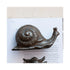 Cast Iron Snail