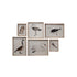 Wood Framed Glass Wall Décor with Bird Images, Set of 6