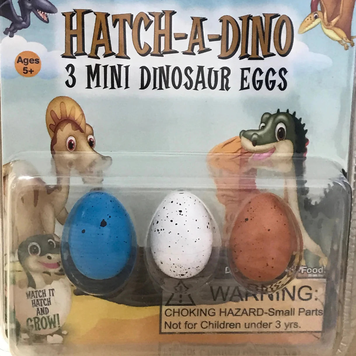 Hatch-A-Dino 3 Mini Dinosaur Eggs by Zorbitz - A. Dodson's