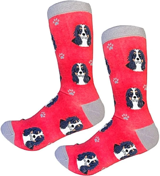 PET SOCKS - A. Dodson's