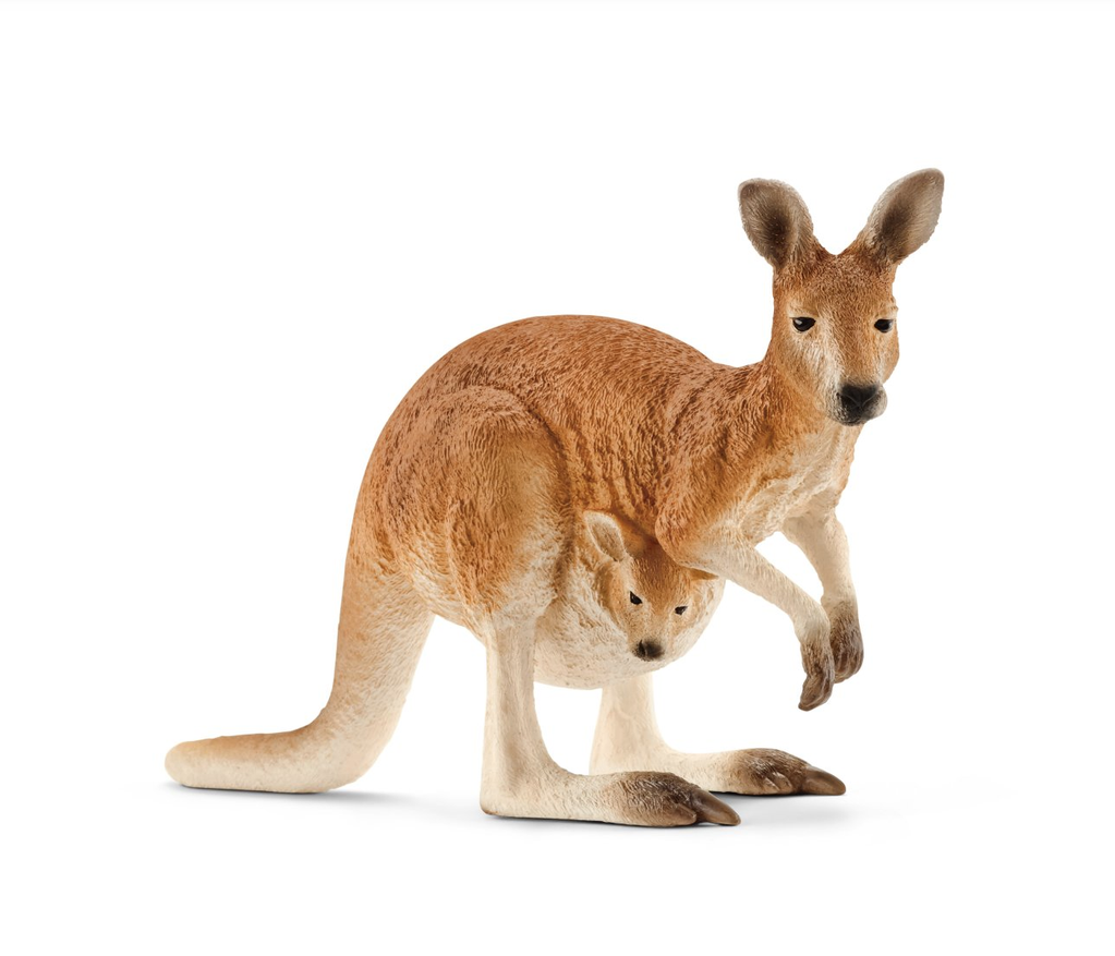 Kangaroo Doormat Outdoor Rug Funny Gift for Kangaroo Lover 